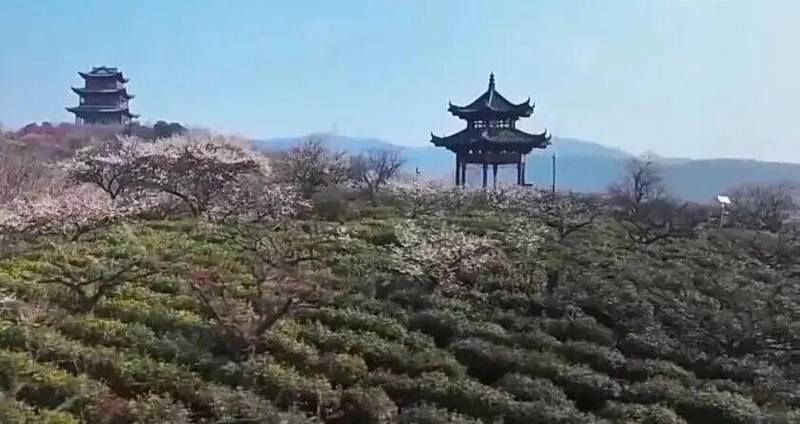 拒绝人潮汹涌:反向旅游指南,深度挖掘乡村隐藏价值 文化旅游