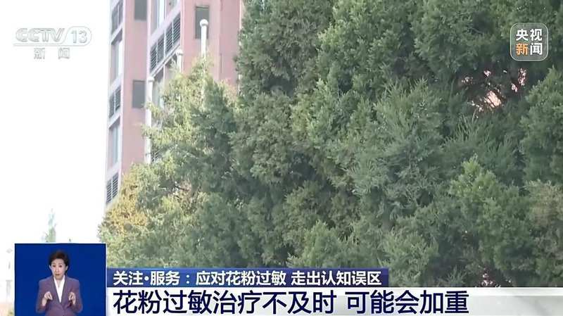  【深度解析】免疫失衡≠免疫力低下：花粉过敏认知盲区与科学应对策略 健康养生
