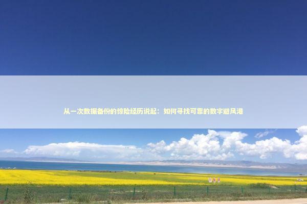 从一次数据备份的惊险经历说起：如何寻找可靠的数字避风港