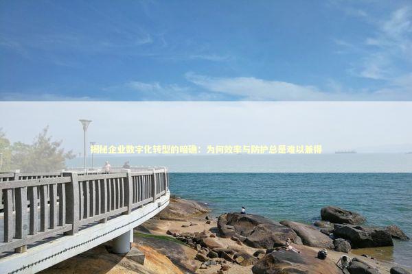 揭秘企业数字化转型的暗礁：为何效率与防护总是难以兼得