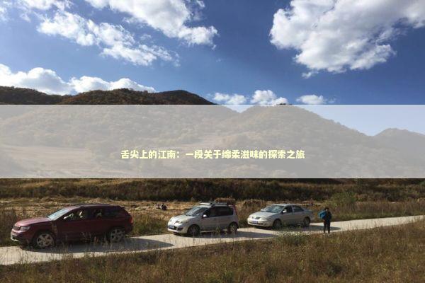 舌尖上的江南：一段关于绵柔滋味的探索之旅