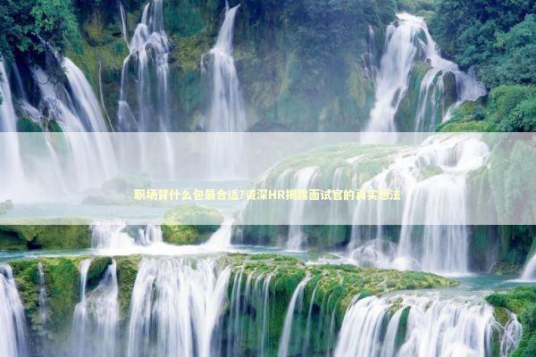 职场背什么包最合适?资深HR揭露面试官的真实想法 时尚用品
