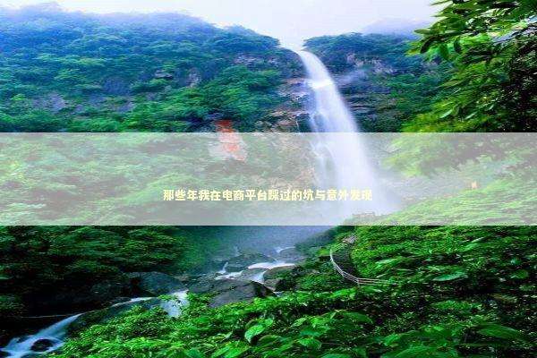 那些年我在电商平台踩过的坑与意外发现 那些年我在电商平台踩过的坑与意外发现 企业服务