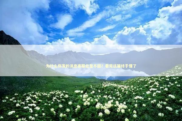 为什么你发的消息客服总是不回？看完这篇终于懂了